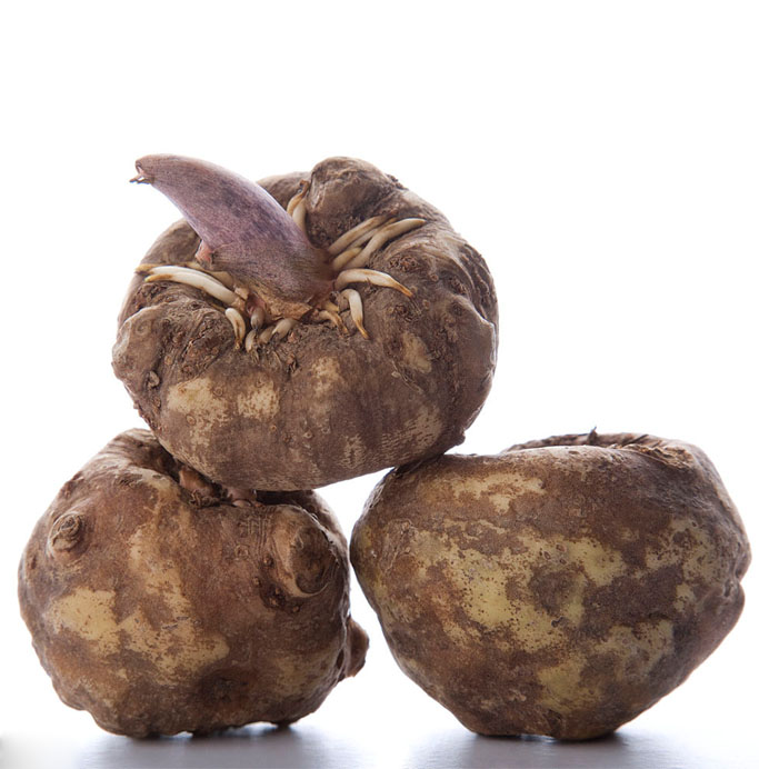 魔芋是什么？